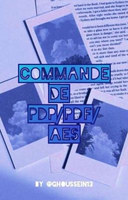 Commande de PDP/PDF/AES