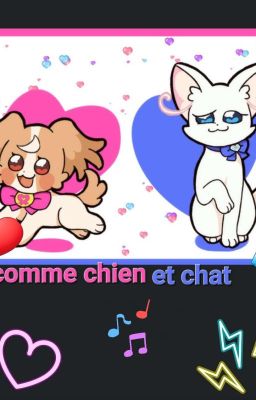 comme chien et chat// komugi x yuki // 