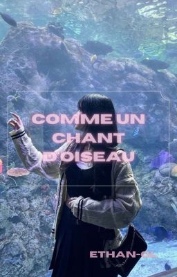 comme un chant d'oiseau 