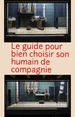 comment choisir son humain de compagnie ? 