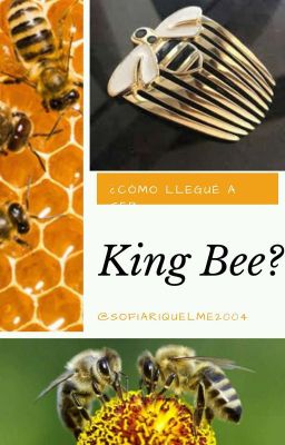 ¿Cómo llegué a ser King Bee?