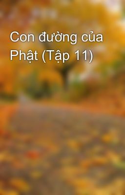 Con đường của Phật (Tập 11)