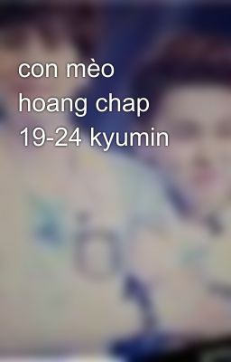 con mèo hoang chap 19-24 kyumin