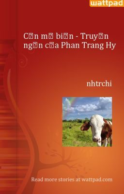 Cơn mơ biển - Truyện ngắn của Phan Trang Hy