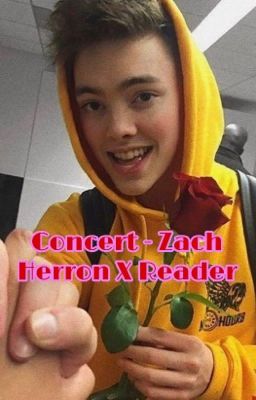 Concert - Zach Herron X Reader