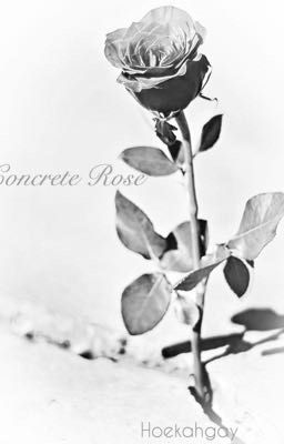 Concrete Rose. 