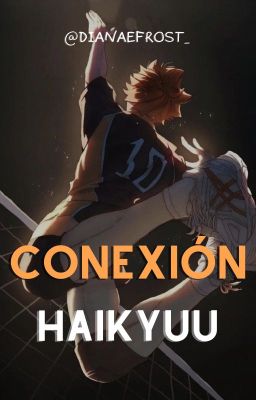 CONEXIÓN || Haikyuu FanFic