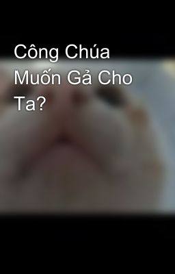 Công Chúa Muốn Gả Cho Ta?