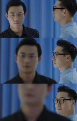 cộng sinh - cộng sự