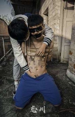 Công việc dâm dục 