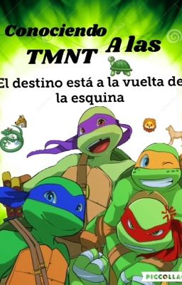 Conociendo a las tmnt