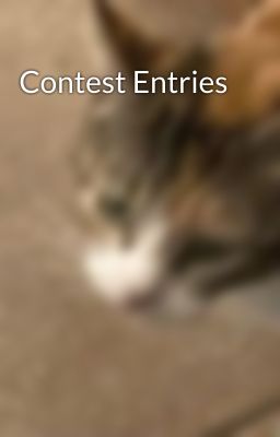 Contest Entries