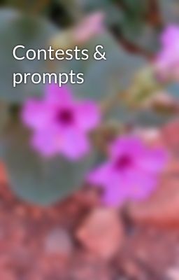 Contests & prompts