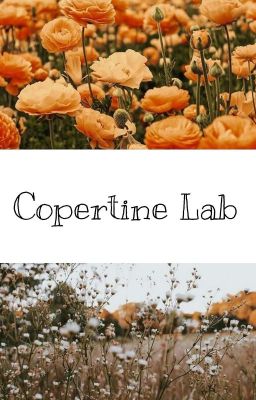 Copertine Lab