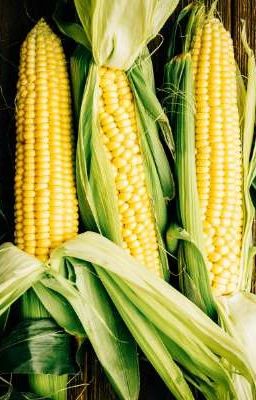 Corn