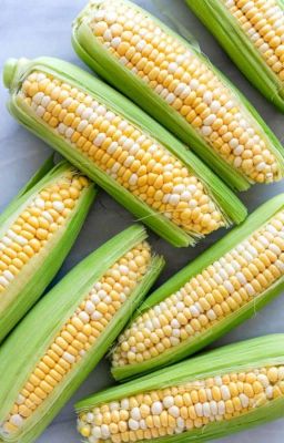 Corn Army