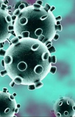 coronavirus el inició de la epidemia