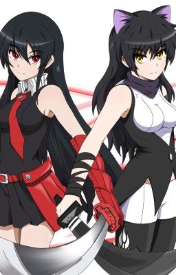 Corrupted Love (RWBY x Bullied Male Reader x Akame Ga Kill)