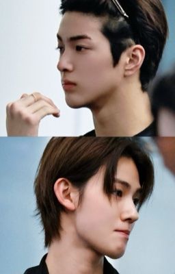 cortis | transit love