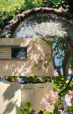 [Cortis x reader] Off Script // No Control⊹