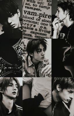 cortis x reader | vampire.