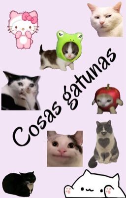 Cosas gatunas🐱