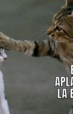 cosas random 