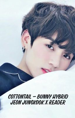 Cottontail - Bunny Hybrid!Jeon Jungkook x Reader