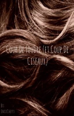 Coup de foudre (et coup de ciseaux) - [OS Larry Stylinson]