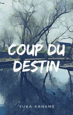 Coup du Destin