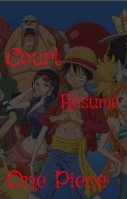 Court résumé de One Piece