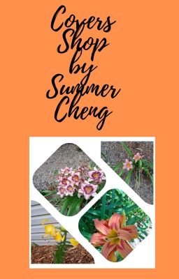 Covers Shop by Summer Cheng