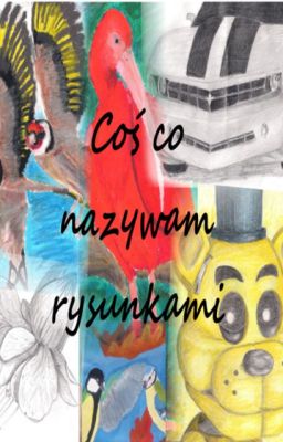 Coś co nazywam rysunkami