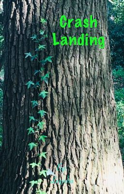 Crash landing
