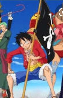 crew one piece