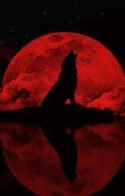 Crimson Moon // weerwolf RPG