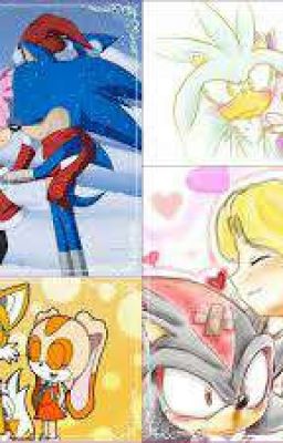 critica entre los shipps del fandom de sonic