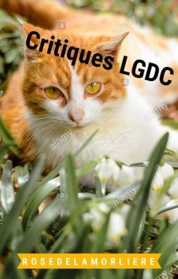 Critiques LGDC #2