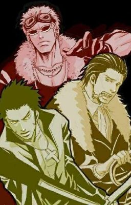 ~Crocodile x reader x Doflamingo x Mihawk~