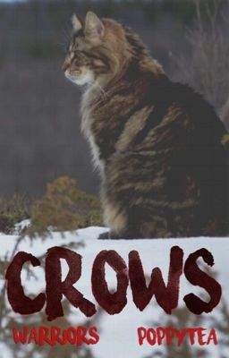 Crows // warrior cats fanfic ; complete //