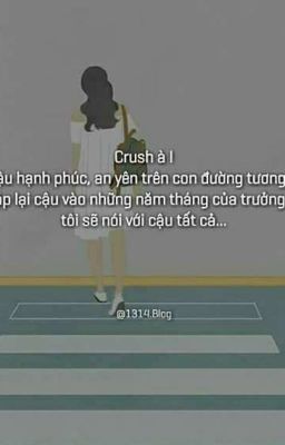 Crush Người Từng Là Của Mình