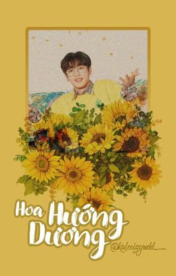 |csy×kyh| hoa hướng dương