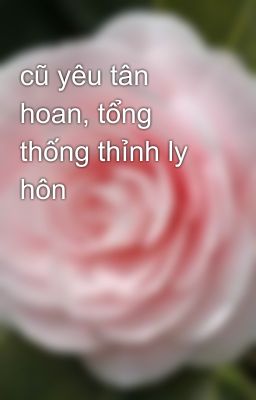 cũ yêu tân hoan, tổng thống thỉnh ly hôn