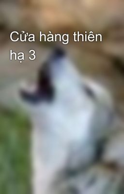 Cửa hàng thiên hạ 3