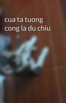 cua ta tuong cong la du chiu