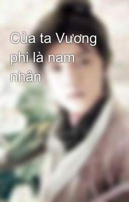 Của ta Vương phi là nam nhân