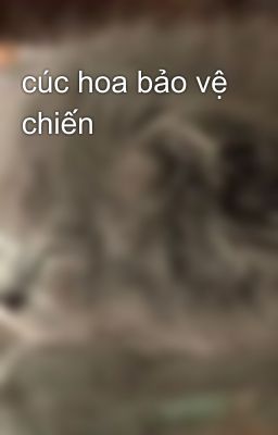 cúc hoa bảo vệ chiến