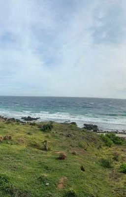 Cùng Nhau