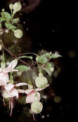 Cùng với ngươi mới là toàn thế giới /TG:Đại Nịnh/Cvter:sakahara