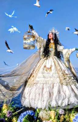 cuộc đời rực rỡ